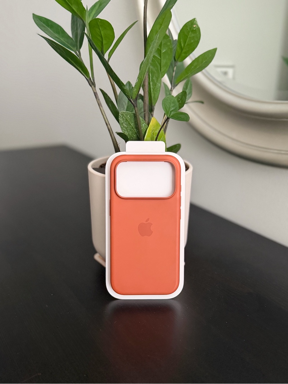 Apple iPhone 17 Pro Silicone Case with MagSafe inTerra Cotta